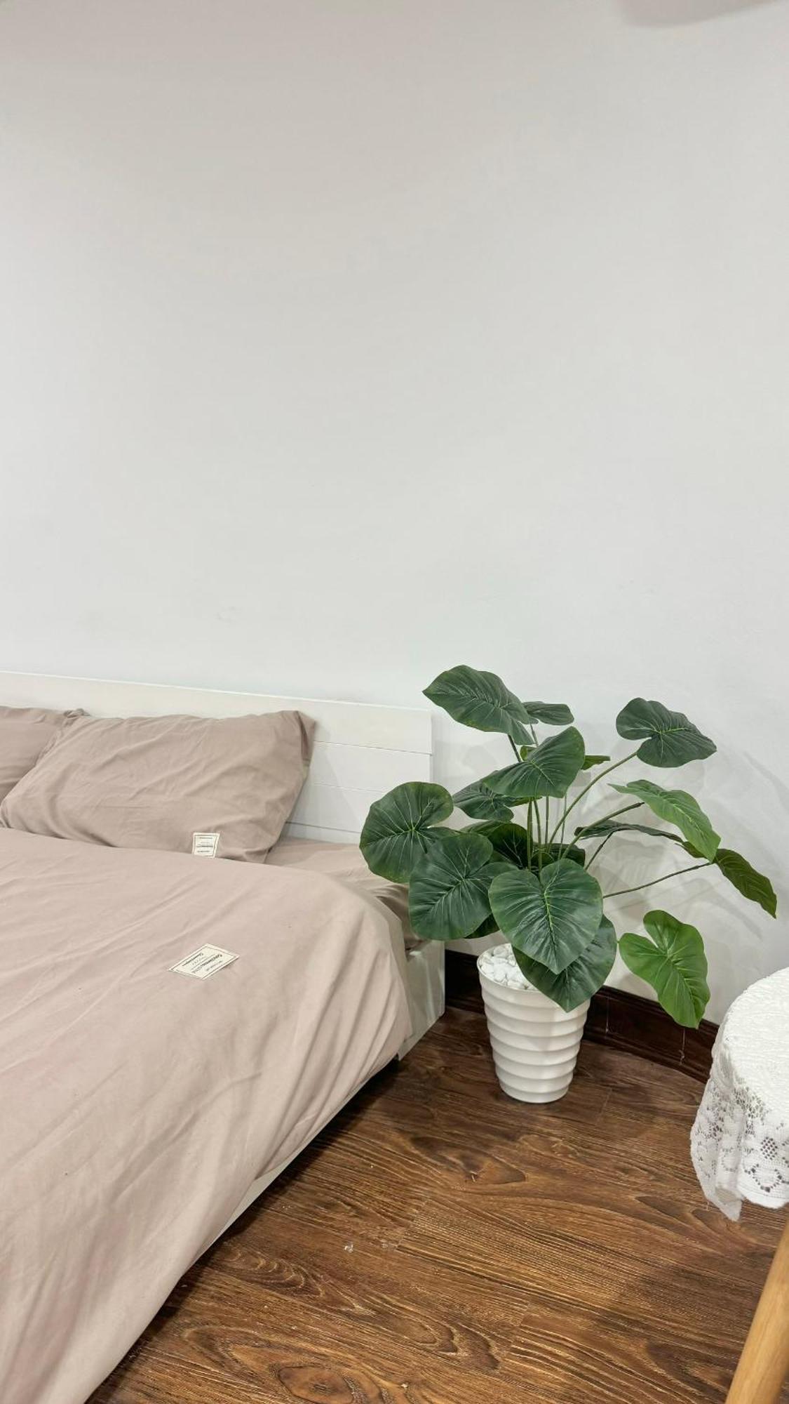 ハノイ市Bom House - Zxzアパートメント エクステリア 写真